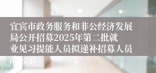 宜宾市政务服务和非公经济发展局公开招募2025年第二批就业见习提能人员拟递补招募人员的公示