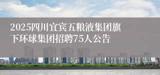 2025四川宜宾五粮液集团旗下环球集团招聘75人公告