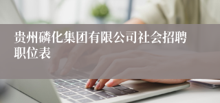 贵州磷化集团有限公司社会招聘职位表
