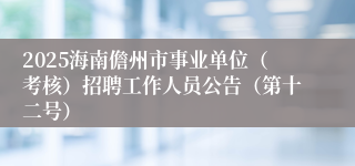 2025海南儋州市事业单位（考核）招聘工作人员公告（第十二号）