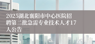 2025湖北襄阳市中心医院招聘第二批急需专业技术人才17人公告