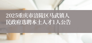 2025重庆市涪陵区马武镇人民政府选聘本土人才1人公告
