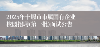 2025年十堰市市属国有企业校园招聘(第一批)面试公告