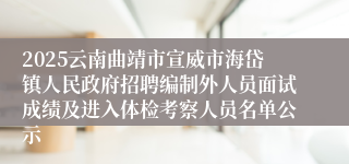 2025云南曲靖市宣威市海岱镇人民政府招聘编制外人员面试成绩及进入体检考察人员名单公示