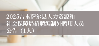 2025吉木萨尔县人力资源和社会保障局招聘编制外聘用人员公告（1人）