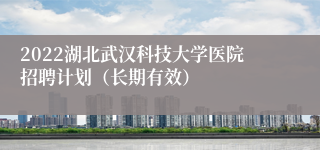 2022湖北武汉科技大学医院招聘计划（长期有效）