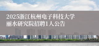2025浙江杭州电子科技大学丽水研究院招聘1人公告