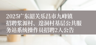 2025广东韶关乐昌市九峰镇招聘浆源村、遑洞村基层公共服务站系统操作员招聘2人公告