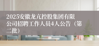2025安徽龙亢控股集团有限公司招聘工作人员4人公告（第二批）