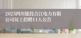 2025四川能投合江电力有限公司员工招聘11人公告