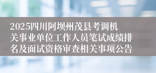 2025四川阿坝州茂县考调机关事业单位工作人员笔试成绩排名及面试资格审查相关事项公告