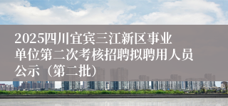 2025四川宜宾三江新区事业单位第二次考核招聘拟聘用人员公示（第二批）