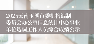 2025云南玉溪市委机构编制委员会办公室信息统计中心事业单位选调工作人员综合成绩公示
