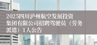 2025四川泸州航空发展投资集团有限公司招聘驾驶员（劳务派遣）1人公告