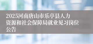 2025河南唐山市乐亭县人力资源和社会保障局就业见习岗位公告