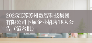 2025江苏苏州数智科技集团有限公司下属企业招聘18人公告（第六批）