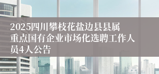 2025四川攀枝花盐边县县属重点国有企业市场化选聘工作人员4人公告