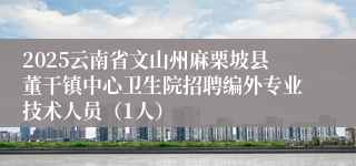 2025云南省文山州麻栗坡县董干镇中心卫生院招聘编外专业技术人员（1人）