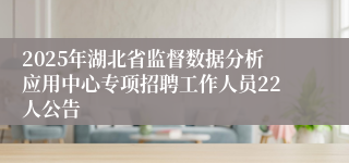 2025年湖北省监督数据分析应用中心专项招聘工作人员22人公告
