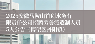 2025安徽马鞍山首创水务有限责任公司招聘劳务派遣制人员5人公告（博望区丹阳镇）