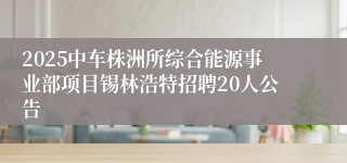 2025中车株洲所综合能源事业部项目锡林浩特招聘20人公告
