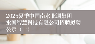 2025夏季中国南水北调集团水网智慧科技有限公司招聘拟聘公示（一）