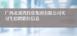 广西北部湾投资集团有限公司实习生招聘职位信息
