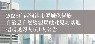 2025广西河池市罗城仫佬族自治县自然资源局就业见习基地招聘见习人员1人公告