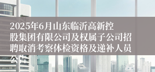 2025年6月山东临沂高新控股集团有限公司及权属子公司招聘取消考察体检资格及递补人员公告