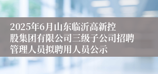 2025年6月山东临沂高新控股集团有限公司三级子公司招聘管理人员拟聘用人员公示