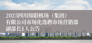 2025四川绵阳机场（集团）有限公司市场化选聘市场营销部副部长1人公告