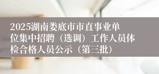 2025湖南娄底市市直事业单位集中招聘（选调）工作人员体检合格人员公示（第三批）