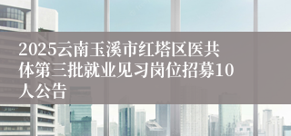 2025云南玉溪市红塔区医共体第三批就业见习岗位招募10人公告