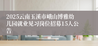 2025云南玉溪市峨山博雅幼儿园就业见习岗位招募15人公告