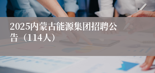 2025内蒙古能源集团招聘公告（114人）