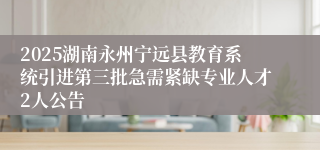 2025湖南永州宁远县教育系统引进第三批急需紧缺专业人才2人公告