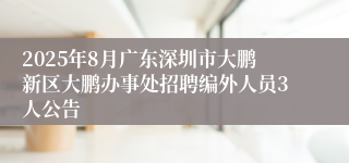 2025年8月广东深圳市大鹏新区大鹏办事处招聘编外人员3人公告