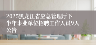 2025黑龙江省应急管理厅下半年事业单位招聘工作人员9人公告