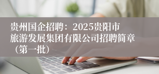贵州国企招聘：2025贵阳市旅游发展集团有限公司招聘简章（第一批）