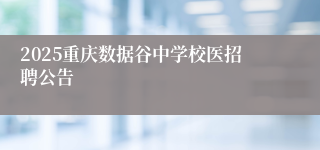 2025重庆数据谷中学校医招聘公告