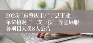 2025广东肇庆市广宁县事业单位招聘“三支一扶”等基层服务项目人员8人公告