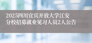 2025四川宜宾开放大学江安分校招募就业见习人员2人公告