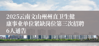 2025云南文山州州直卫生健康事业单位紧缺岗位第三次招聘6人通告