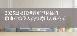 2025黑龙江伊春市丰林县招聘事业单位人员拟聘用人选公示