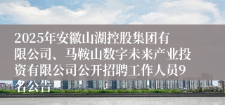 2025年安徽山湖控股集团有限公司、马鞍山数字未来产业投资有限公司公开招聘工作人员9名公告