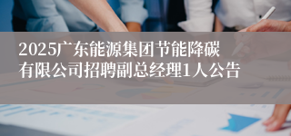 2025广东能源集团节能降碳有限公司招聘副总经理1人公告