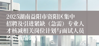 2025湖南益阳市资阳区集中招聘及引进紧缺（急需）专业人才核减相关岗位计划与面试人员综合成绩公告