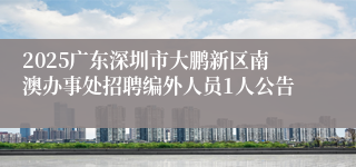 2025广东深圳市大鹏新区南澳办事处招聘编外人员1人公告