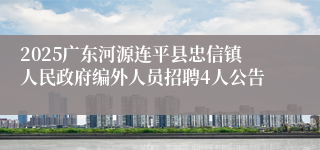 2025广东河源连平县忠信镇人民政府编外人员招聘4人公告