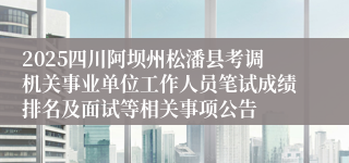 2025四川阿坝州松潘县考调机关事业单位工作人员笔试成绩排名及面试等相关事项公告